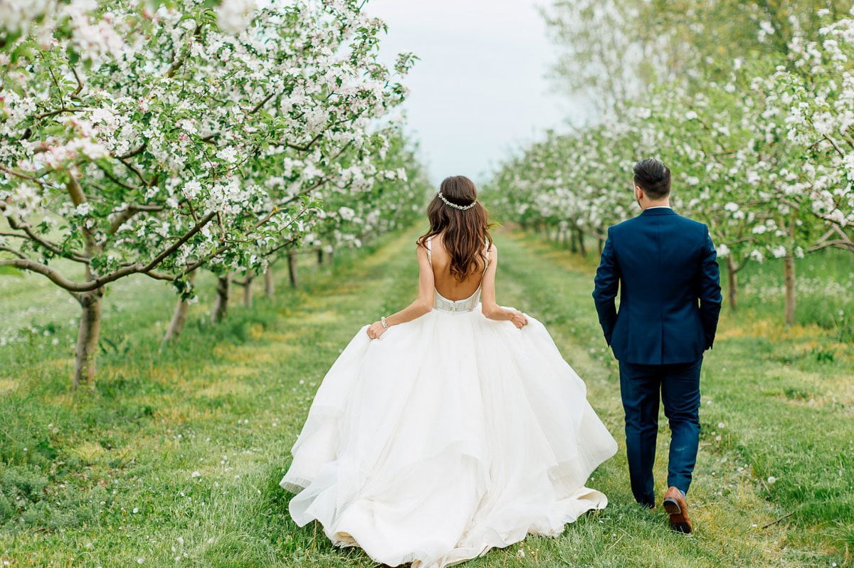 Kurtz Orchard, Niagara
